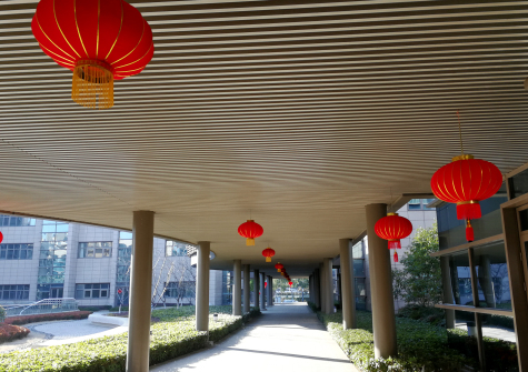 掛燈籠，貼春聯  蘇化科技園內年味濃